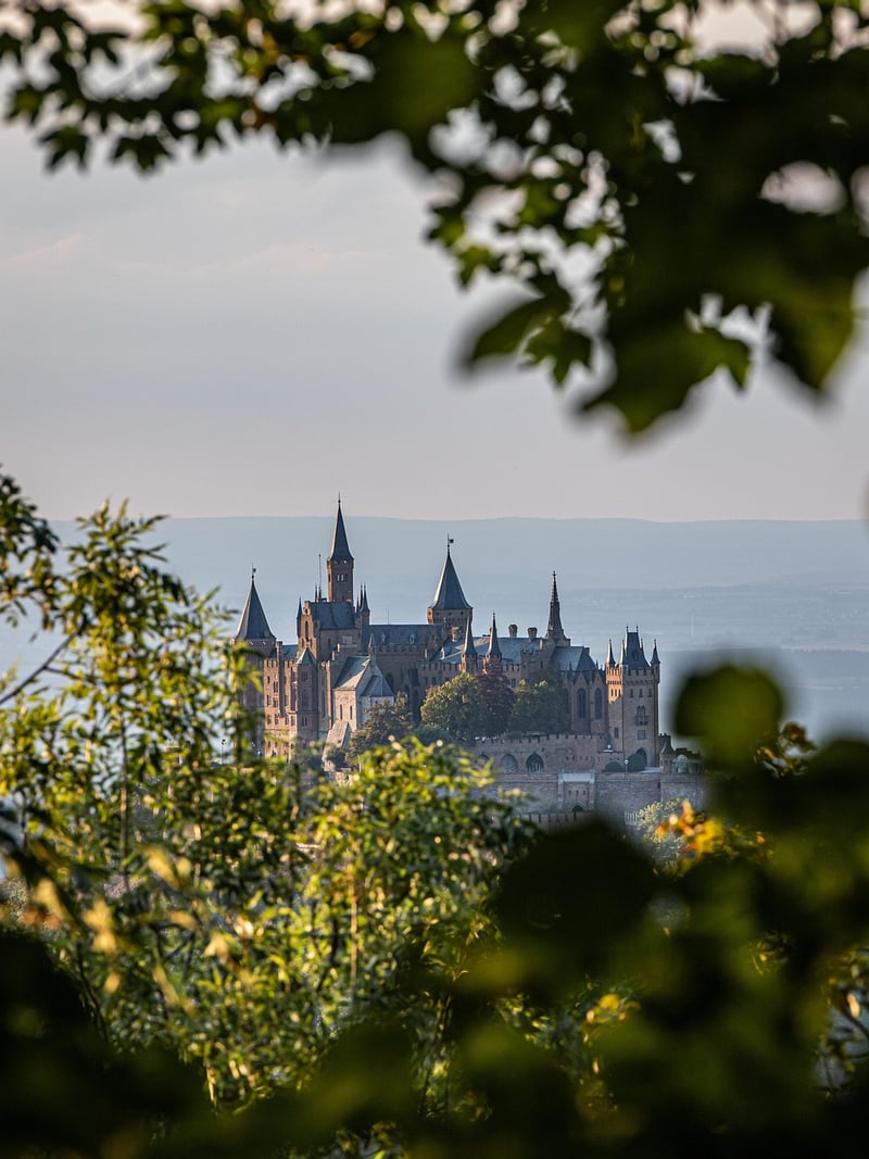 Medieval Festival